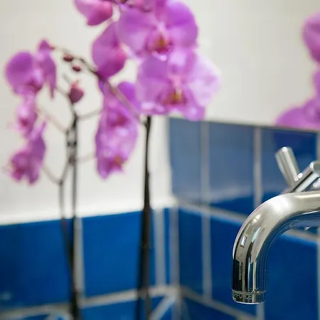 Residenza Pansa Bed & Breakfast